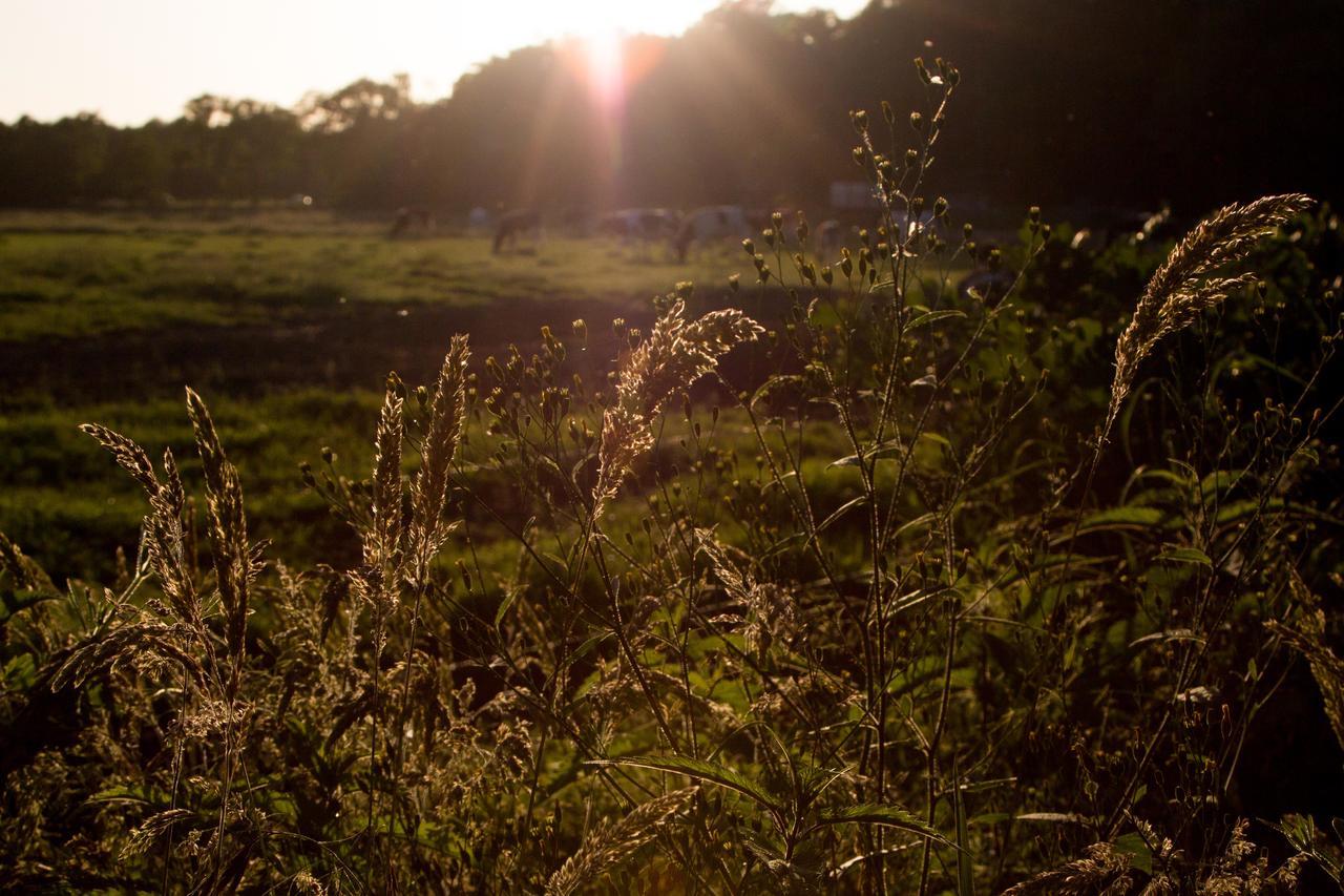 Biotel Achterhoek Lievelde ภายนอก รูปภาพ